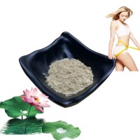 Top Quality Lotus Leaf P. E. Lotus Leaf Extract Powder 10% Nuciferine