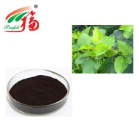 Mulberry Leaf Extract Chlorophyll 15%