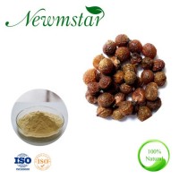 Soapnut/Soapberry Extract  Sapindus Mukorossi Extract/Ritha for Pure Natural Detergent/Hand Washing/