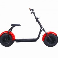 Hot Sale Fat Tire Big Power Electric Bike/Scooter/Motorcycle