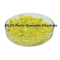 Quercetin Dihydrate Powder Quercetin Dihydrate Raw Powder Manufacturer Bulk Supply