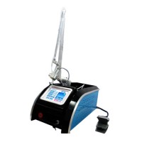 Portable 10600nm Fractional CO2 Laser Strech Marks Mole Cutting Equipment with Private Vagina Treatm