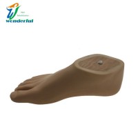 Artificial Feet Prosthetic Sach Foot for Adult Beige Color