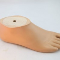 Prosthetics Solid Ankle Foot with Toes