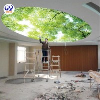 Soft Film UV Inkjet Ceiling Decoration Soft Film UV Mural