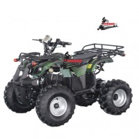 2020 New Ce Approved 1000W/1200W/1500W Electric Adults ATV Manufacturer