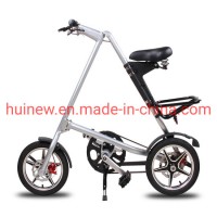 Foldable Bike for Adult and Students