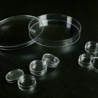 Disposable Petri Dish