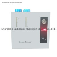 2lpm Medium Hydrogen Generator 99.999% Purity H2 Output Machine Compact Design Spe Pem Tech