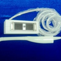 Biosound Esaote Ec123 Transvaginal Ultrasound Transducer Probe for Mylab Twice