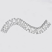 Medical Stainless Steel BMS Bare Metal Coronary Stent for PCI Case