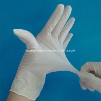 Latex Examination Glove with Powdered and Powdered Free