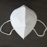 Kn95 N95 Ffp2 Ce FDA GB2626-2006 En149: 2001 Disposable Anti-Dust Protective Mask Face Mask