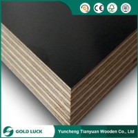 18mm Black Film Coated Plywood Timber