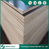 15mm/17mm/18mm Waterproof Film Faced Shuttering Plywood