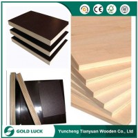 China Cheap Plywood for Construction