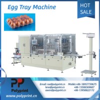 High Speed Automatic PP Plastic Food Packing Egg Tray Forming Making Thermoforming Machine