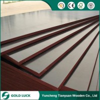 Cheap Price 1220x2440mm WBP Glue Finger Joint Film Faced Plywood