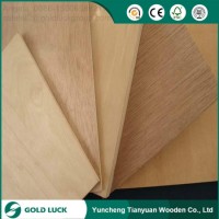 Full Poplar 4mm/5mm/6mm/9mm/12mm Bintangor Plywood