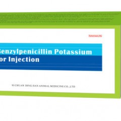 160mu Benzylpenicillin Potassium for Injection -Benzylpenicillin图1