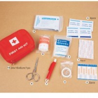 Manufacture Mini Portable Emergency Pet First Aid Kit Pet Supply