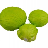 Wholesale Cabbage PU Foam Stress Ball