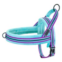 Multi-Colored Stripe Stylish Puppy Vest Harness  Best Pet Supplies