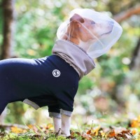 Outdoor Dog Anti Insect Headgear Pet Protective Anti-Bite Mesh Cover