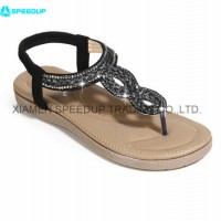 2020 Wholesale and Retail Knit Upper Cusual Shoes for Women