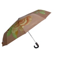 3-Fold Auto Open and Close Gift Umbrella (3FU023)