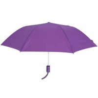 21“ X8k Auto Open 2 Fold Umbrella (2FU007)