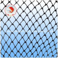 Polyester Multifilament Fishing Net