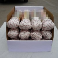 Flag Rope PP Multifilament Braided White Color