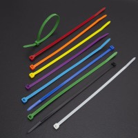 Self-Locking Nylon Cable Ties (CHS-3*120)