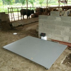 Animal Scale for Sheep 1X1m 3ton with Rails图1