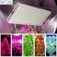 Hydroponic Grow Systems Double Ended Grow Lights with 300W 600W 900W 1200W