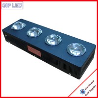 Professional Plant 504W LED Grow Light with Low Price