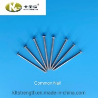 Common Round Iron Wire Nail