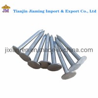 Roofing Nail/Clout Nail/Big Head Nail/Copper Nail/Ceiling Nail/Nail