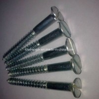 Wood Screw/Brass Wood Screw/Galvanized Wood Screw/Wood Screw Bright Finish