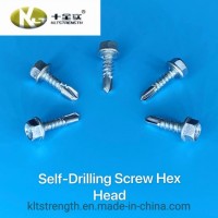 Fastener/Hexagon Colour Head Self Drilling Screw