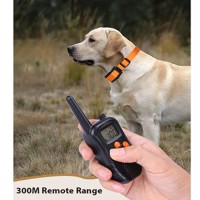 Pet Accessories Rechargeable Dog Training Bark Control Collar