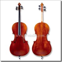 Professional 4/4 Cello (CH800A)