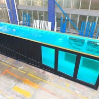 Factory Sale 20FT 40FT Portable Shipping Container Swimming Pool for Sale