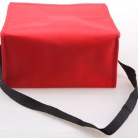 Polyetser & Non Woven Promotional 6 Cans Cooler Bag