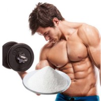 Buy Sarms Paypal Yk11 Raw Material White Powder for Bodybuilding