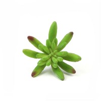 Designer Home Decor Simulated Plant Decoration Succulent Artificial Plants for Bedroom