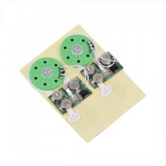 Programmable Sound Voice Music Melody Talking Recording Chip Module for Greeting Card图1