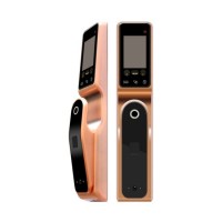 Smart Biometric 3D Technology IR Optics Face Recognition Keyless Palm Print Door Lock for Home