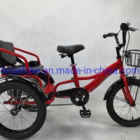 Cheaper 16" Kids/Children Trike Tricycle (PDTK-A116)